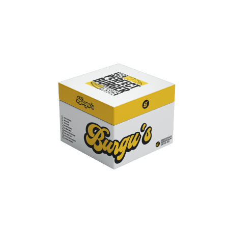 Our Branding Section, An image of Burgu's burger box packaging. highlighting our work