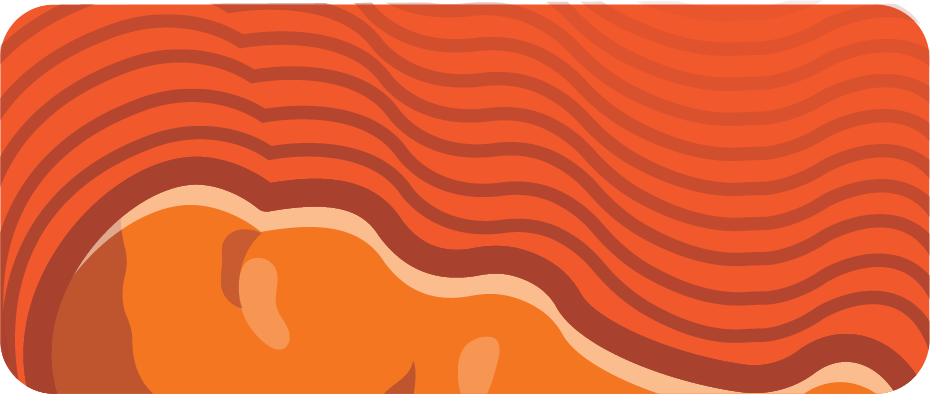 Fried Chicken Icon